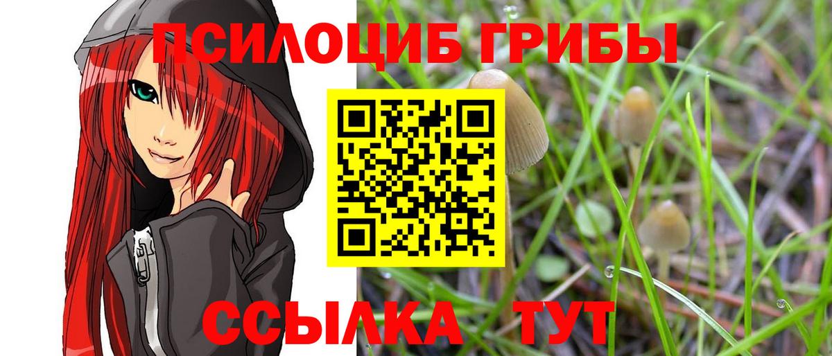 Аша  Псилоцибиновые грибы Psilocybine cubensis  Вход с VPN 